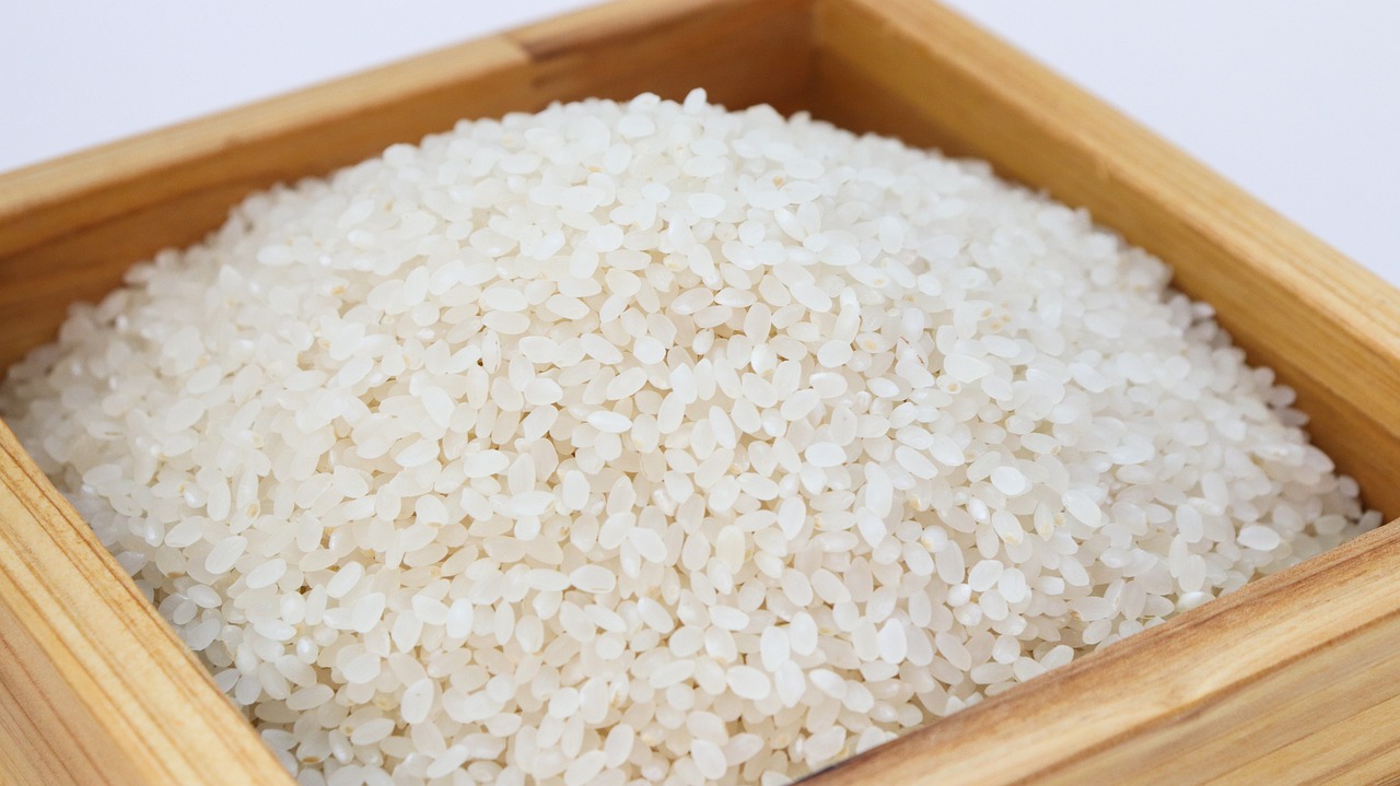 rice-3997767_1280