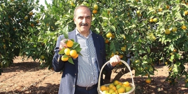 ihracatci-istedi-tarsim-mandalinanin-sigorta-bedelini-artirdi.jpg