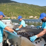 carrefoursadan-mavi-ekonomi-ile-surdurulebilir-deniz-urunleri-atagi.jpg