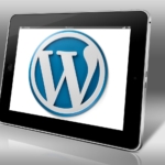 Wordpress Uzmanı (18)