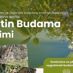 milas-belediyesi-ciftcilere-uygulamali-zeytin-budama-egitimi-verecek.jpg