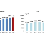 tuik-turkiyede-yerlesik-girisimler-tarafindan-yurt-disinda-kontrol-edilen-girisimlerin-elde-ettigi-ciro-2023-yilinda-85-milyar-801-milyon-dolar-oldu.jpg