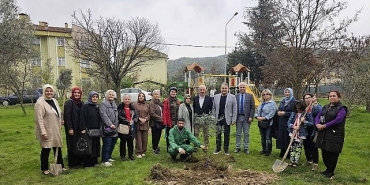 golcukte-orman-haftasinda-zeytin-agaclari-toprakla-bulustu.jpg
