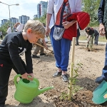 karsiyakada-zeytin-fidanlari-toprakla-bulustu.jpg