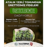 milas-belediyesi-ata-tohumlarini-yasatmak-amaciyla-sebze-fidesi-dagitimi-gerceklestirecek.jpg
