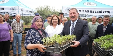 milas-belediyesi-ata-tohumlarini-yasatmak-icin-ureticilere-fide-dagitimi-gerceklestirdi.jpg