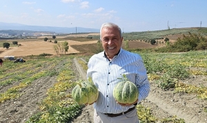 nilufer-konaklidaki-kavun-uretimi-iki-kat-artti.jpg