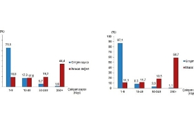 girisim-ozelliklerine-gore-dis-ticaret-istatistikleri-2024.jpg