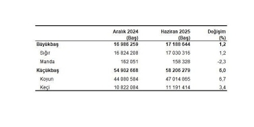 hayvancilik-istatistikleri-haziran-2025.jpg