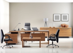 ofis mobilyası