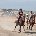 turkiyenin-sampiyon-atlari-menemende-yaristi.jpg