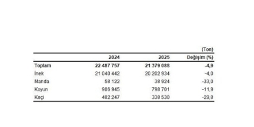 cig-sut-uretim-istatistikleri-2025.jpg