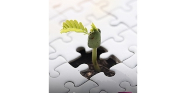 qnb-turkiye-ve-segmden-genclere-surdurulebilir-finans-egitimi-ve-staj-imkani.jpg