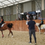 seferihisardan-milli-takima-pony-biniciliginin-yeni-merkezi-turgut-koyunde-kuruldu.jpg