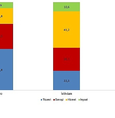 yillik-sanayi-ve-hizmet-istatistikleri-2025.jpg
