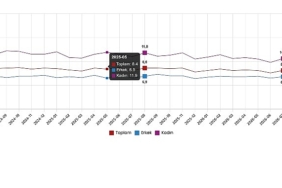 İşgücü İstatistikleri, Ağustos 2026